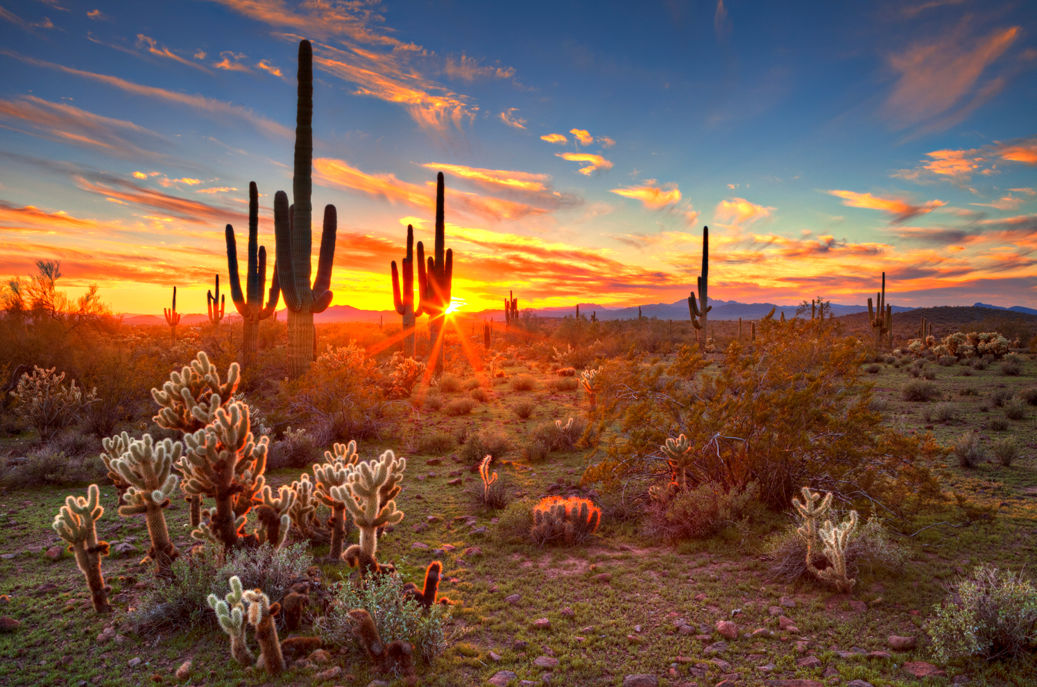 Driving Suicide to Zero in Maricopa County, AZ